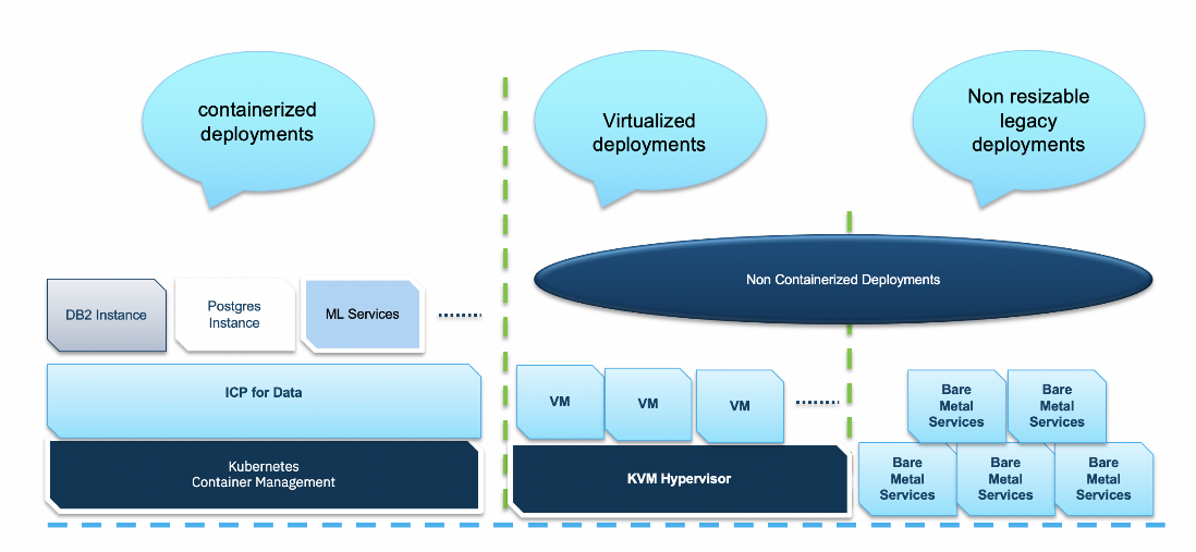 IBM Netezza Performance Server