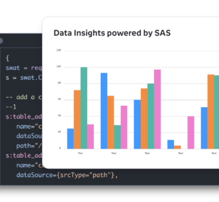 Data Insights Powered by SAS Image Data Insights Powered by SAS Image